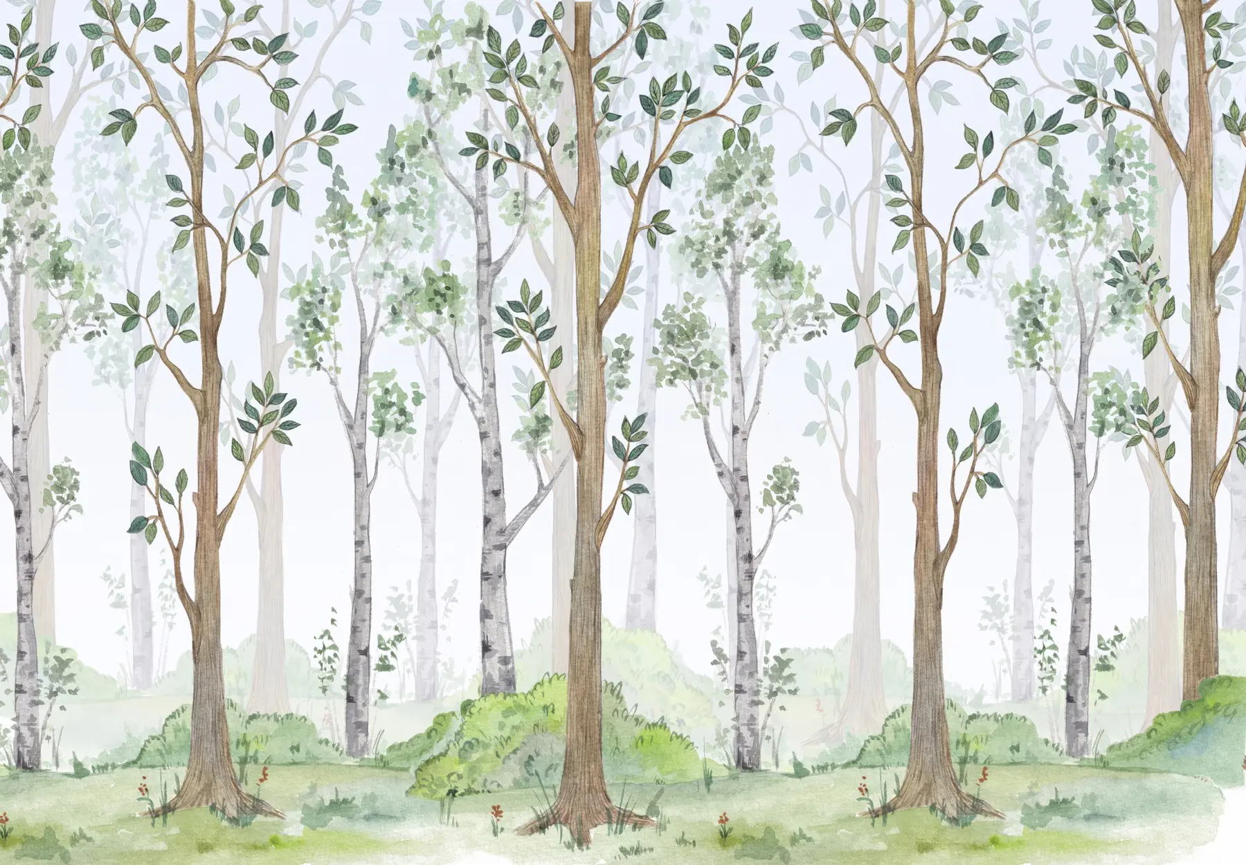 murales de pared Bosque magico u51424