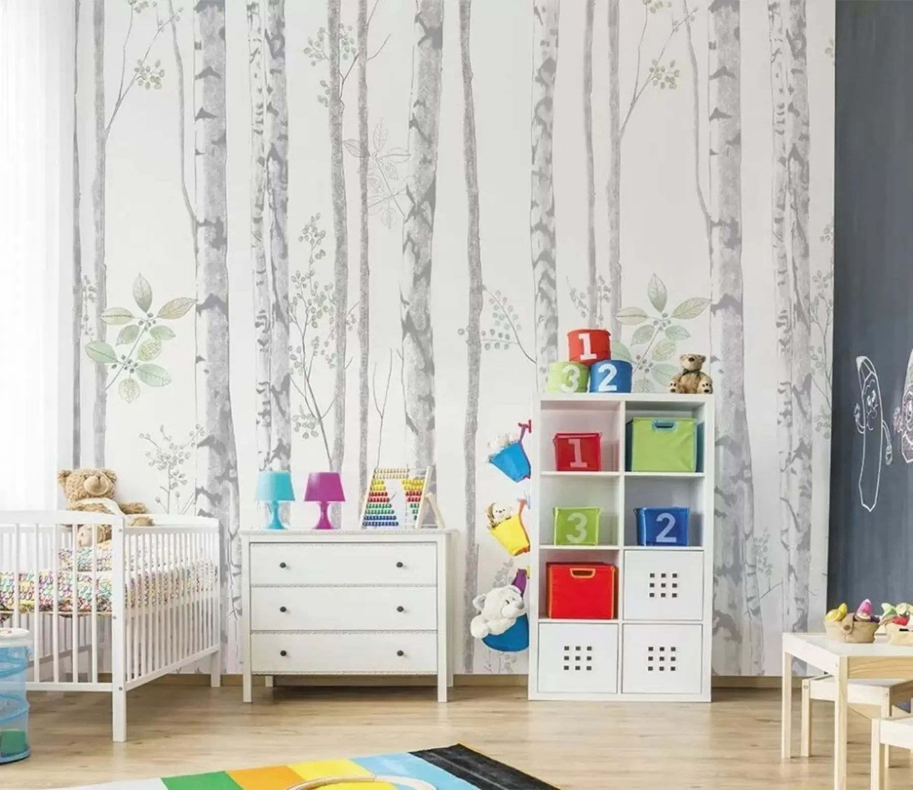 murales de pared Abedules delgados u25513