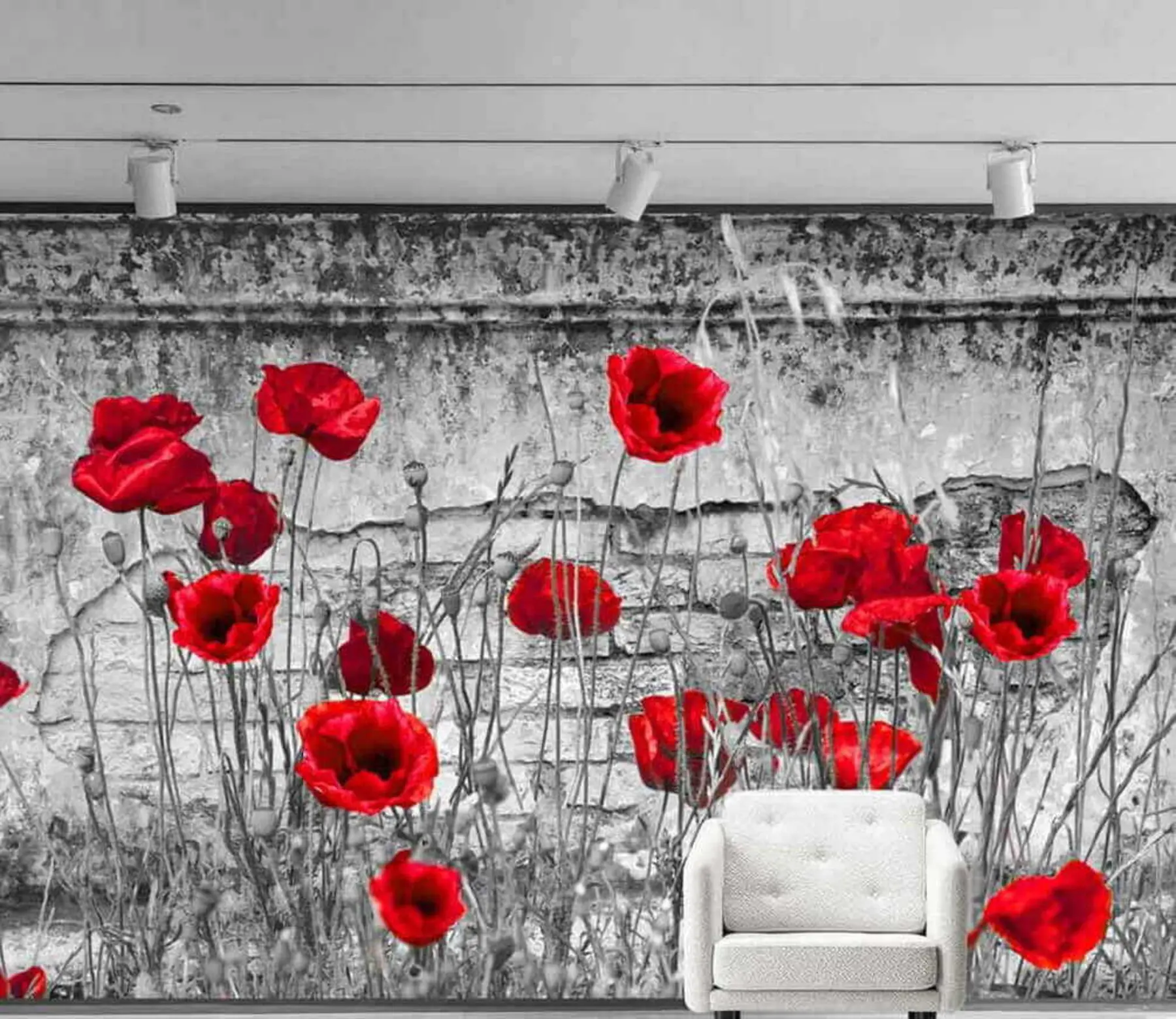 murales de pared Amapolas brillantes en el fondo de la pared u40552
