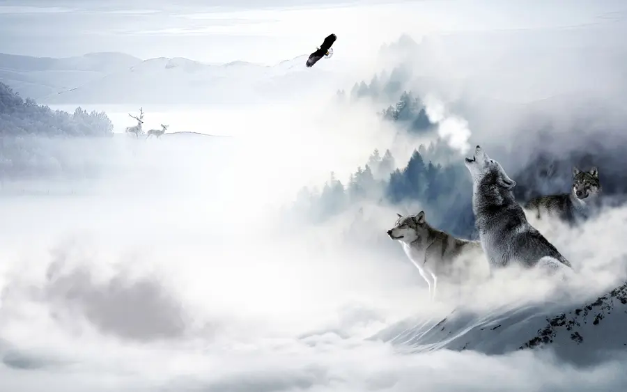 murales de pared Lobos en el bosque u42161