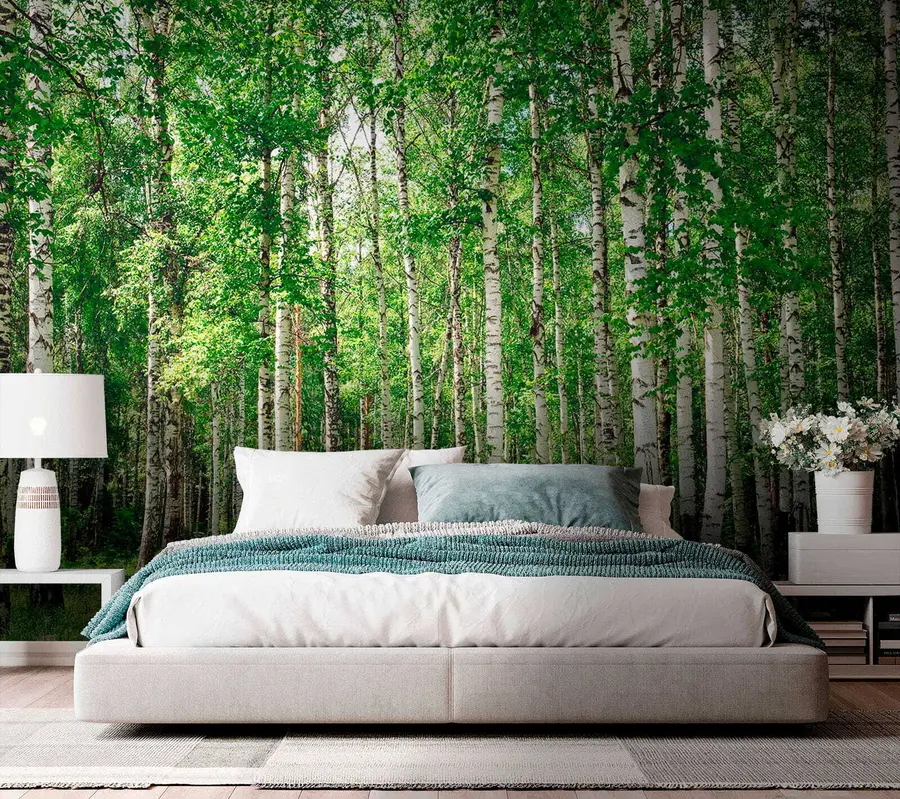 murales de pared Bosque de abedules u52530