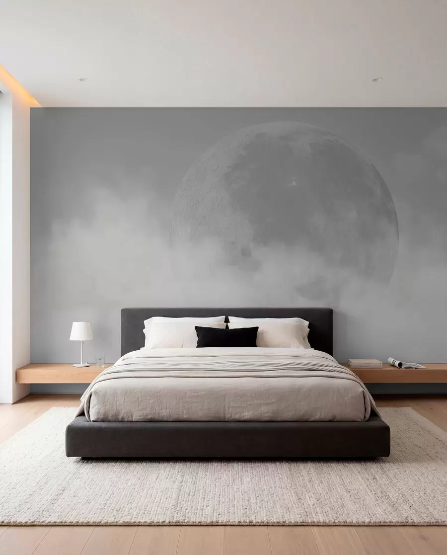 murales de pared Luna en cielo plateado w00548v1