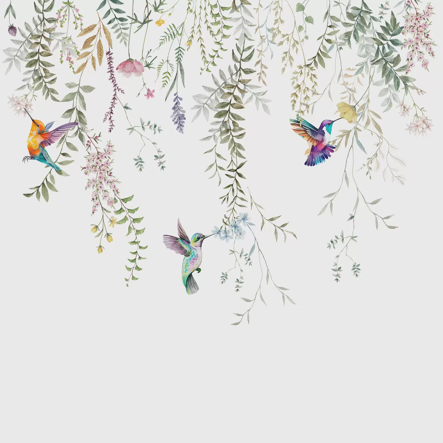 murales de pared Flores y hojas colgantes y hermosos colibríes. w00660