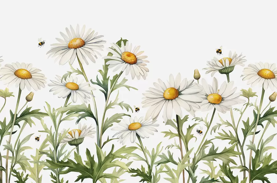 murales de pared Margaritas blancas floreciendo, abejas volando ilustración de plantas acuáticas, color verde, blanco y amarillo w01176