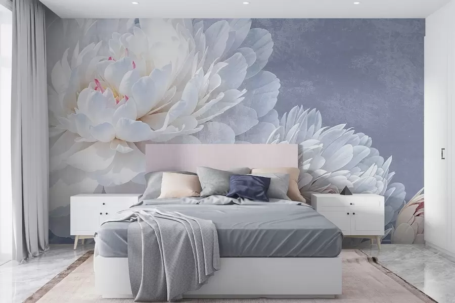 murales de pared Flores de peonía blancas con pétalos suaves y delicados sobre un fondo de textura azul pastel claro w08379