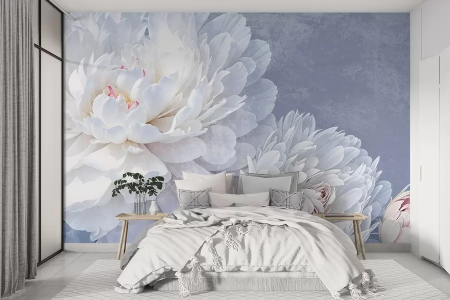 murales de pared Flores de peonía blancas con pétalos suaves y delicados sobre un fondo de textura azul pastel claro w08379