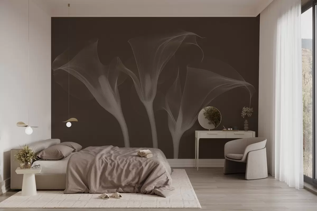 murales de pared flores de Zantedeschia transparentes sobre fondo oscuro w02632v1