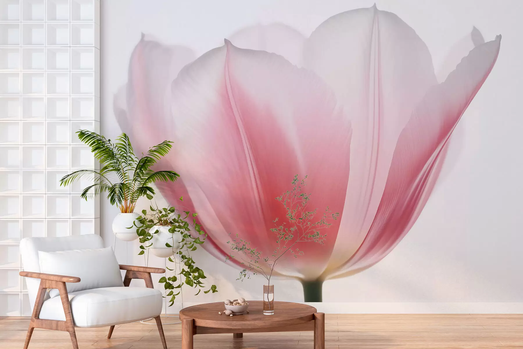 murales de pared Tulipán w03224