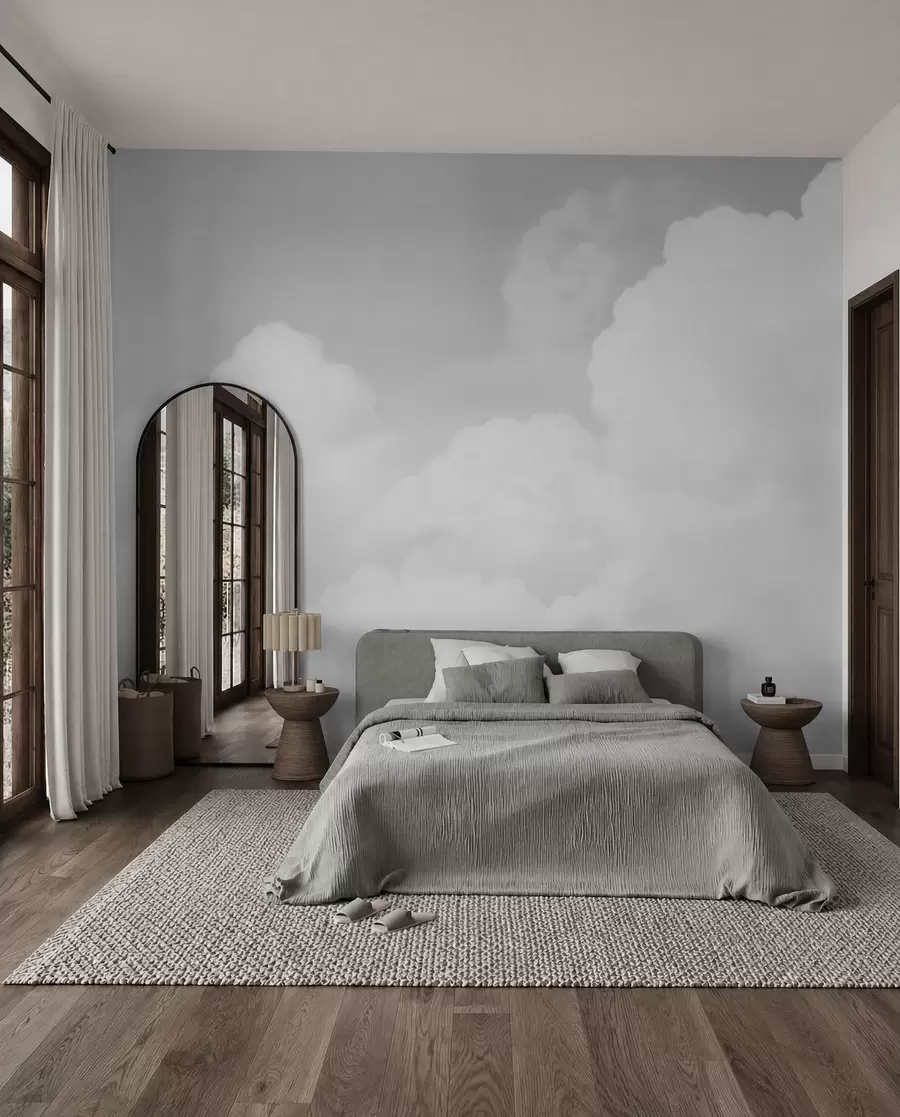 murales de pared Nubes en gris plata w03301v3