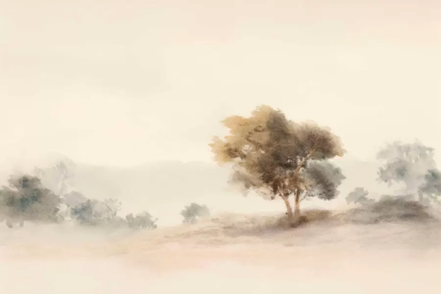 murales de pared Paisaje minimalista con un árbol solitario en la niebla. w05223