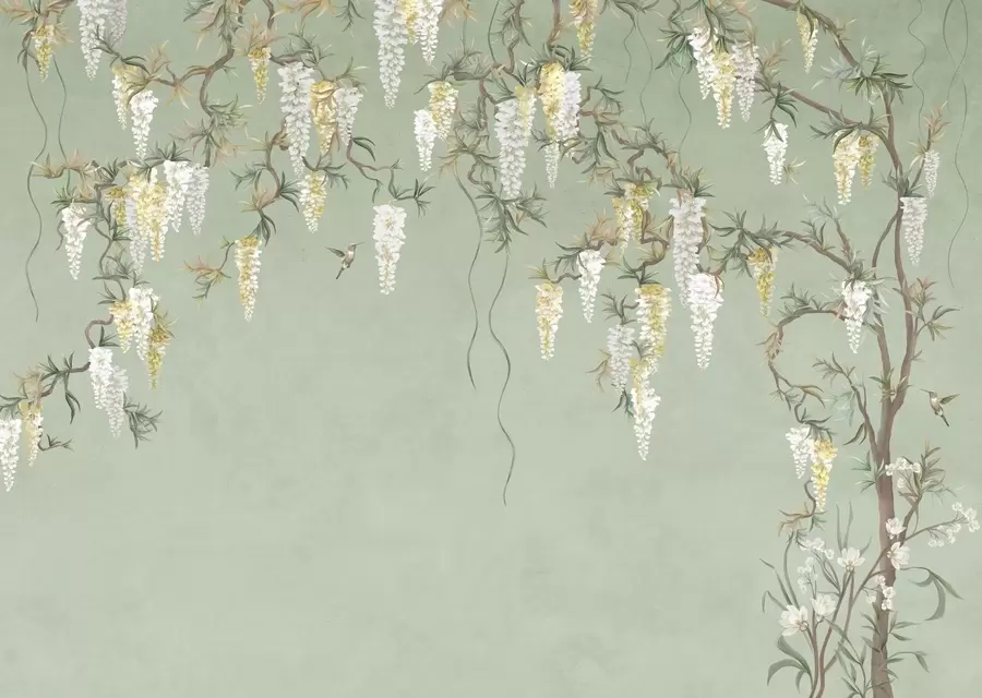 murales de pared Ramas en flor con flores blancas y pájaros sobre un fondo verde w05394