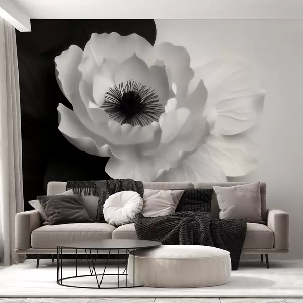 Últimas creaciones