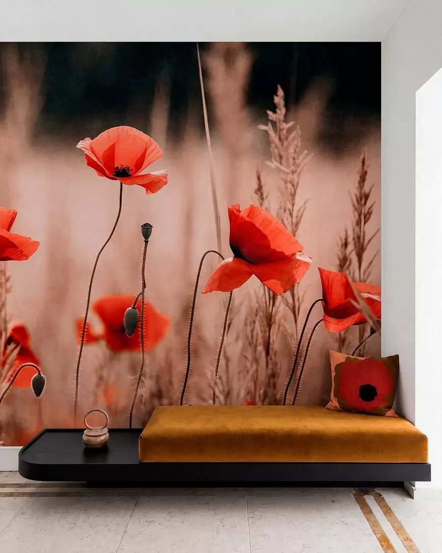 murales de pared Amapolas de un rojo intenso entre la hierba seca w05866