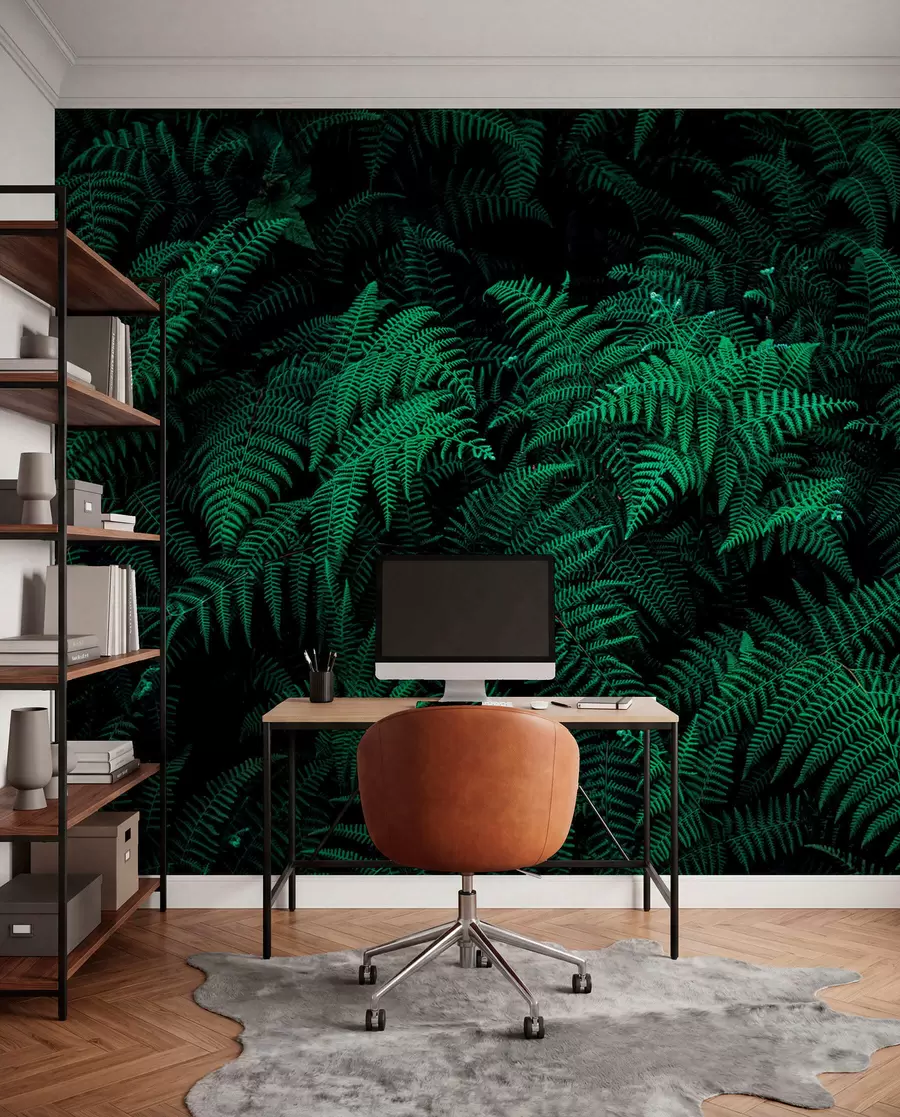 murales de pared helecho u73636