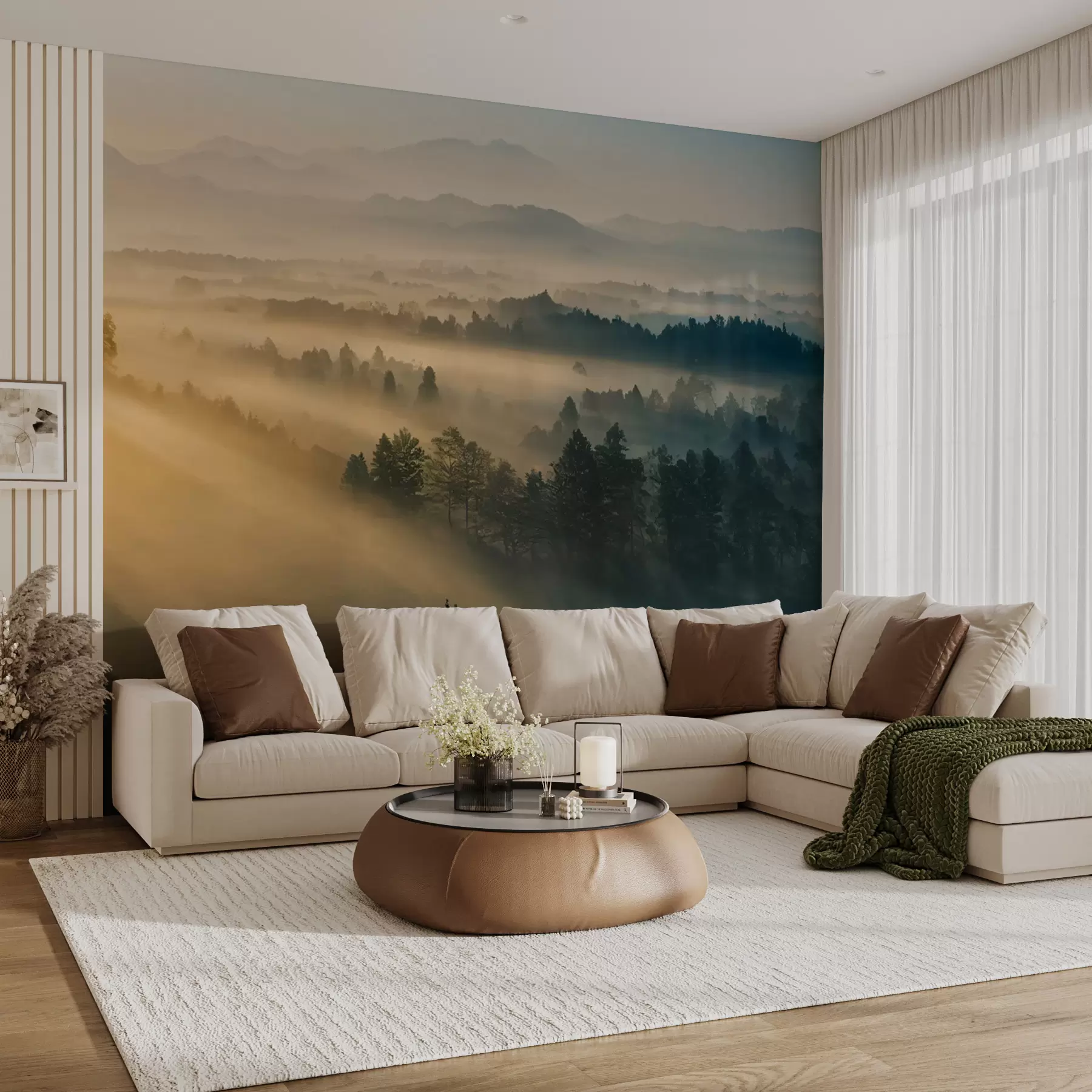 murales de pared Rayos del sol y el bosque nebuloso u73864