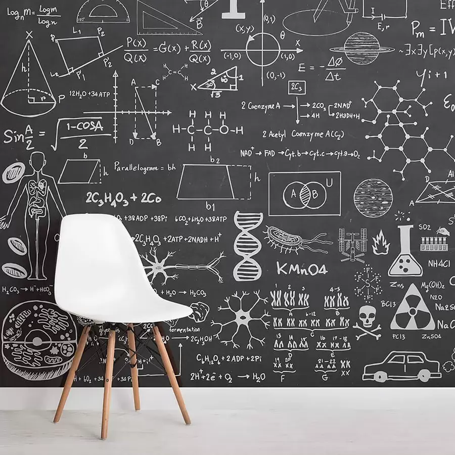 murales de pared Efecto de lavagna con motivos científicos u93593