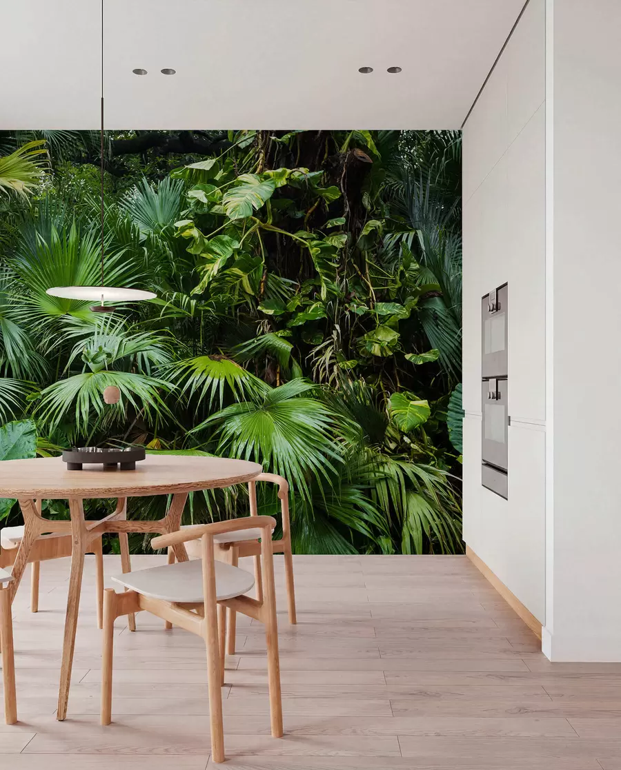 murales de pared Hojas mojadas en la selva u93616