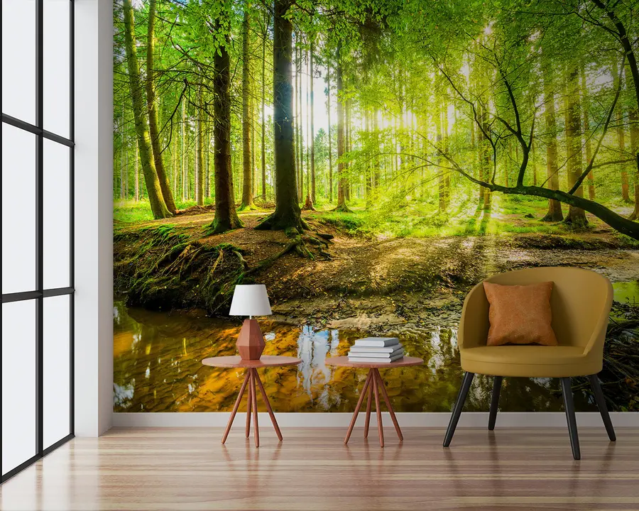 murales de pared Transparencia de la corriente forestal u93621