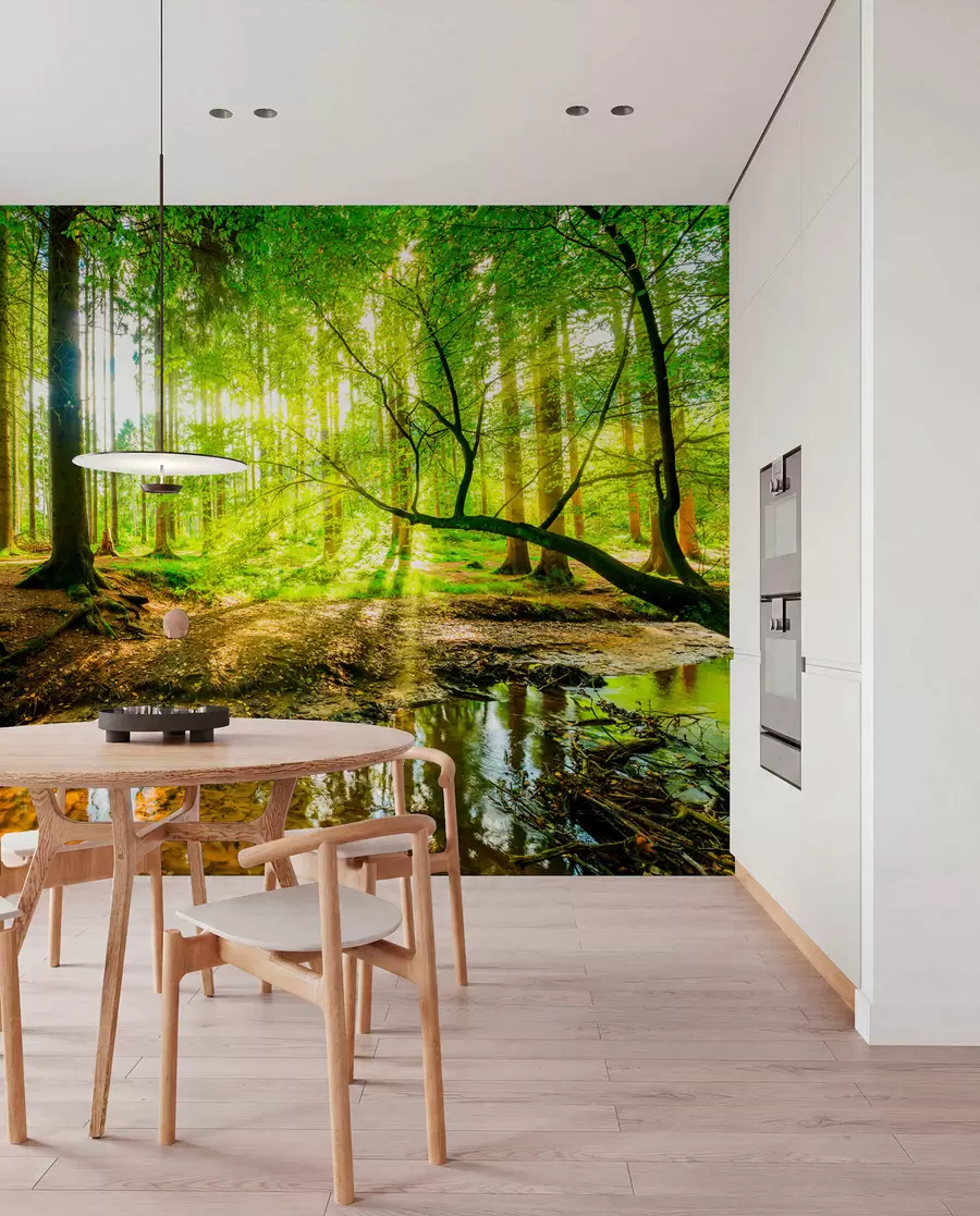 murales de pared Transparencia de la corriente forestal u93621