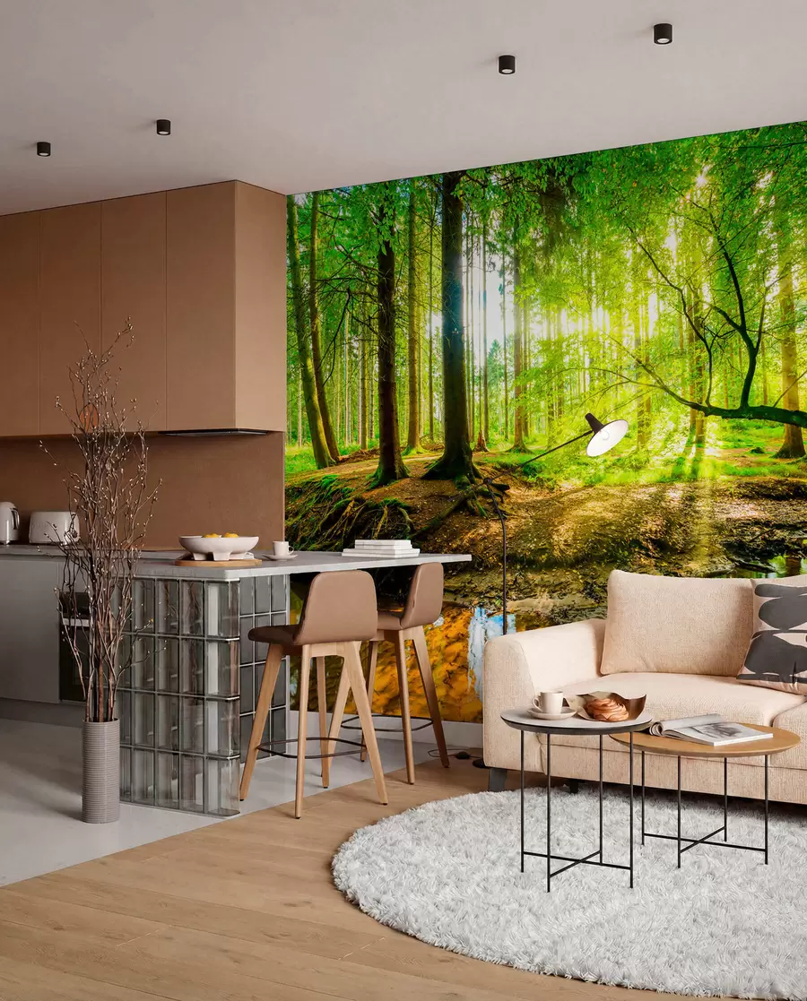 murales de pared Transparencia de la corriente forestal u93621