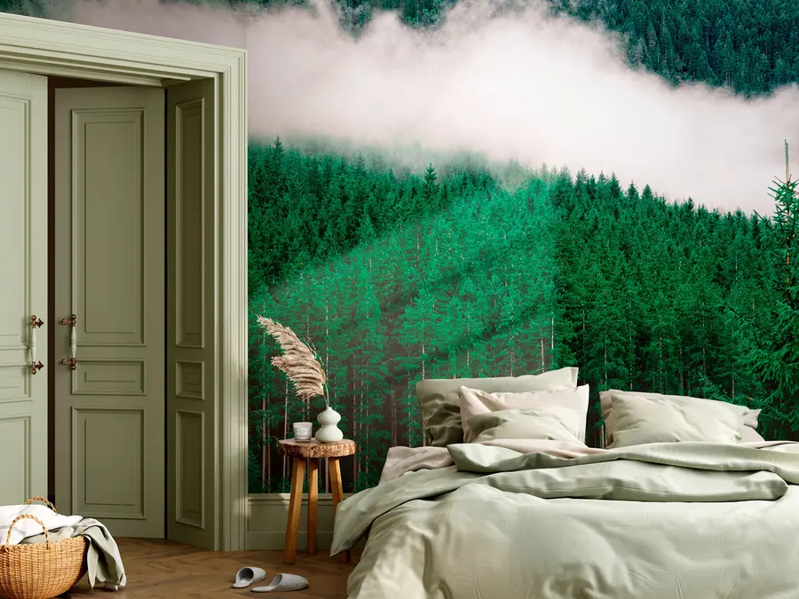 murales de pared Bosque denso verde con pinos altos y niebla u95106