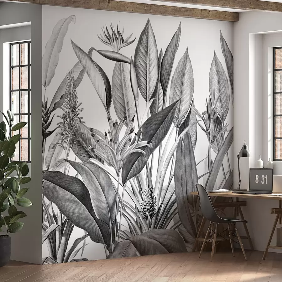 murales de pared Plantas de la selva tropical color blanco y negro. u96833