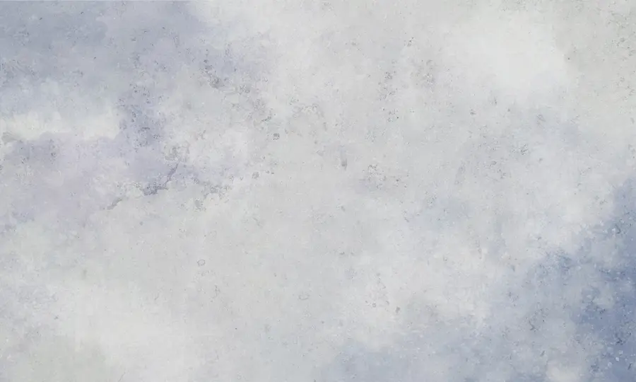 murales de pared Hormigón gris azulado u97225