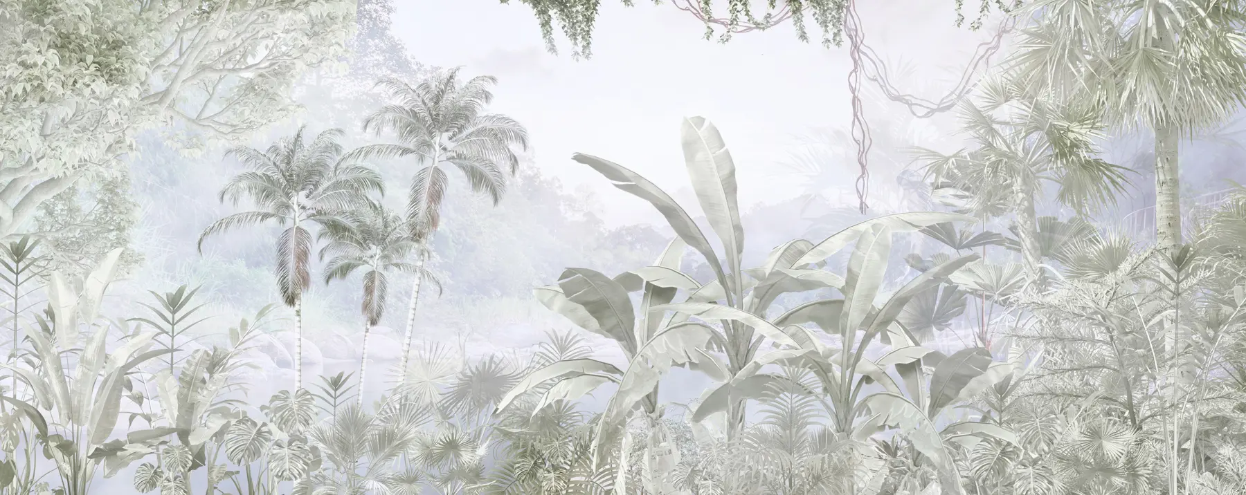 murales de pared Un bosque tropical u97644