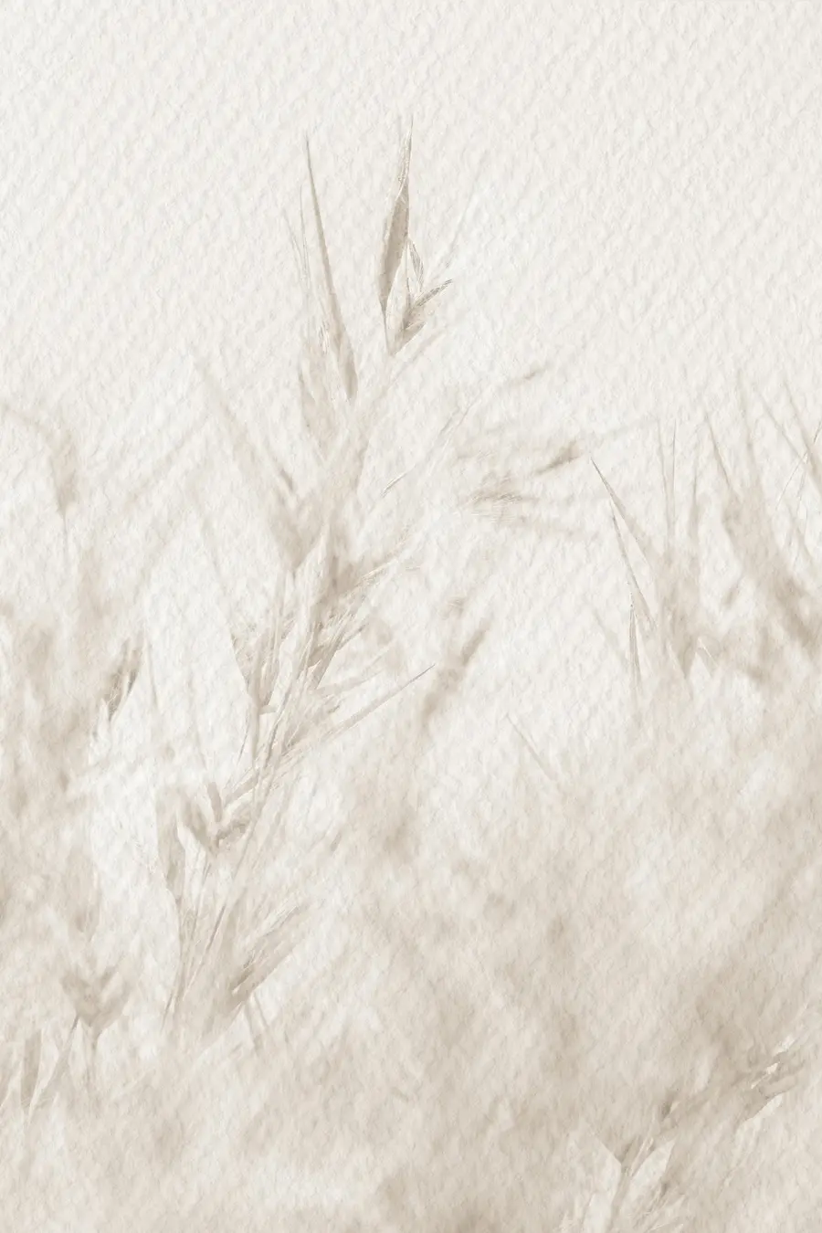 murales de pared Flores secas con textura de papel vintage u98438
